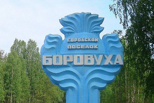 боровухе 200 лет